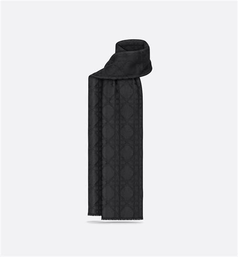 dior schal herren